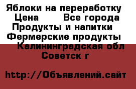 Яблоки на переработку › Цена ­ 7 - Все города Продукты и напитки » Фермерские продукты   . Калининградская обл.,Советск г.